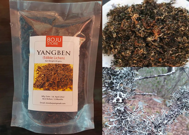 Yangben